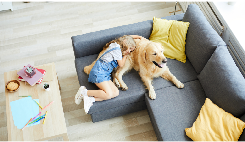 Dormir avec les animaux entre douceur et précautions