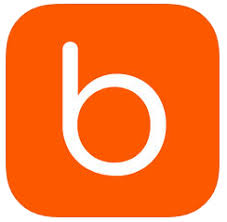 logo beddit